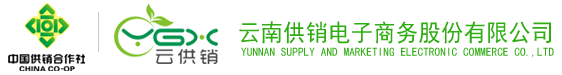 XKTY.COM星空·电子商务股份有限公司